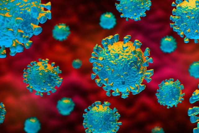 Coronavirus, in Puglia "solo" 31 nuovi casi: sale a 438 il numero dei contagiati